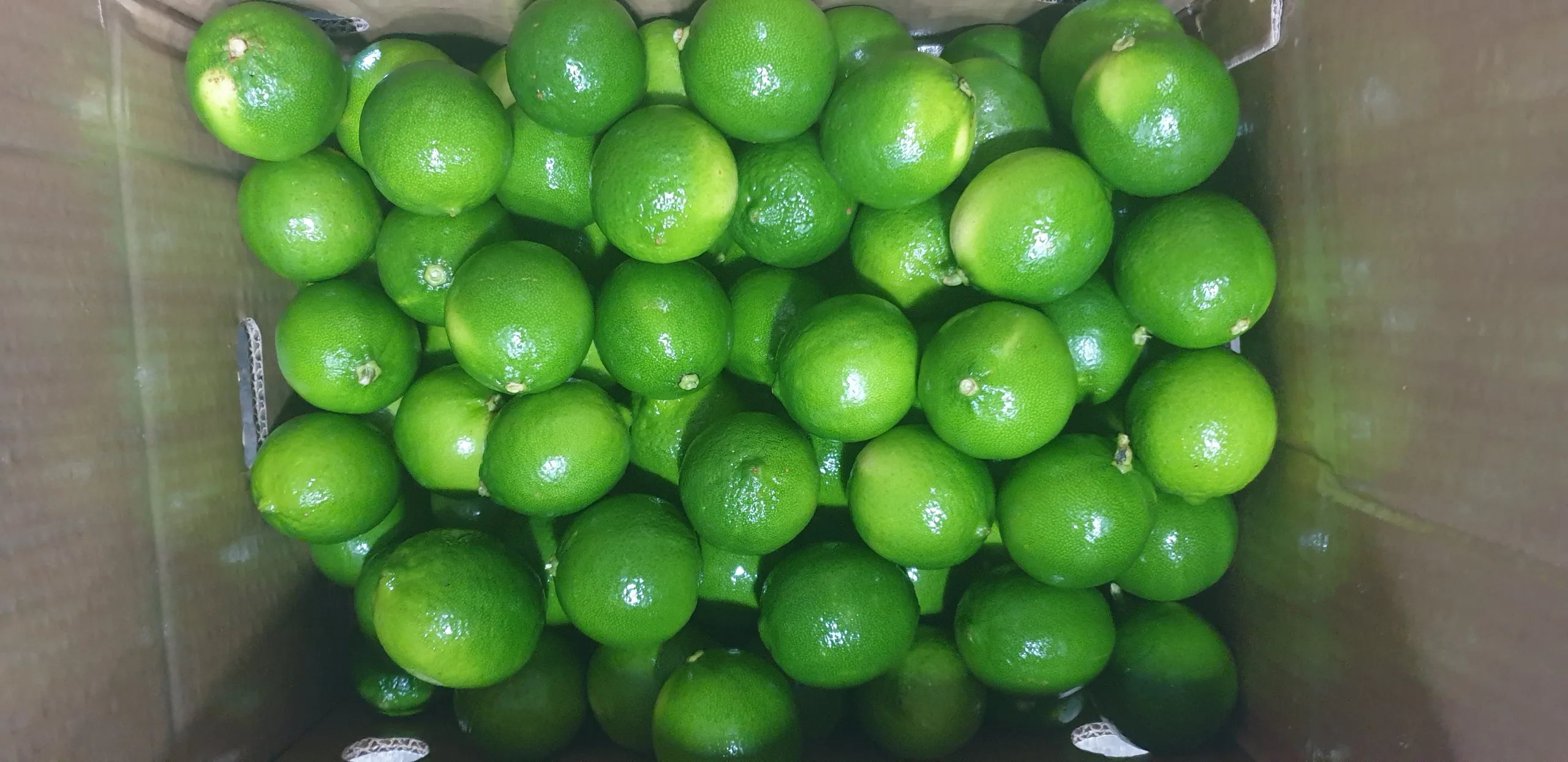 BEST SELLET IQF FROZEN SEEDLESS LIME GREEN CARTON BOX 10KG 8KG and 5KG FROM VIETNAM