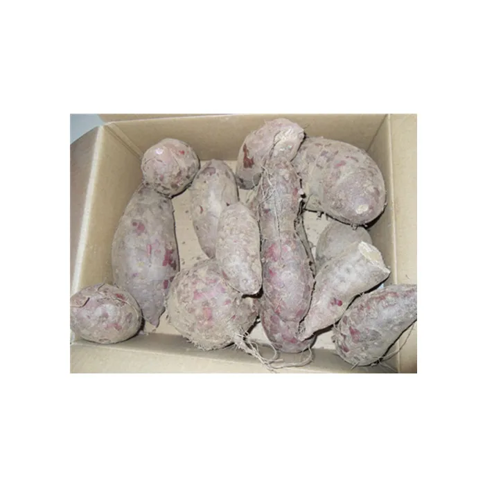 OEM индивидуальный низкий минимальный экспорт свежего сладкого картофеля вьетнамский желтый сладкий картофель