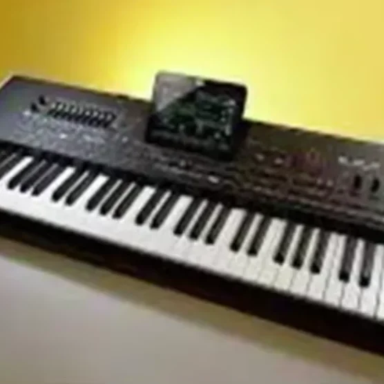 Korg Pa4X 76 Oriental 76-key Professional Arranger