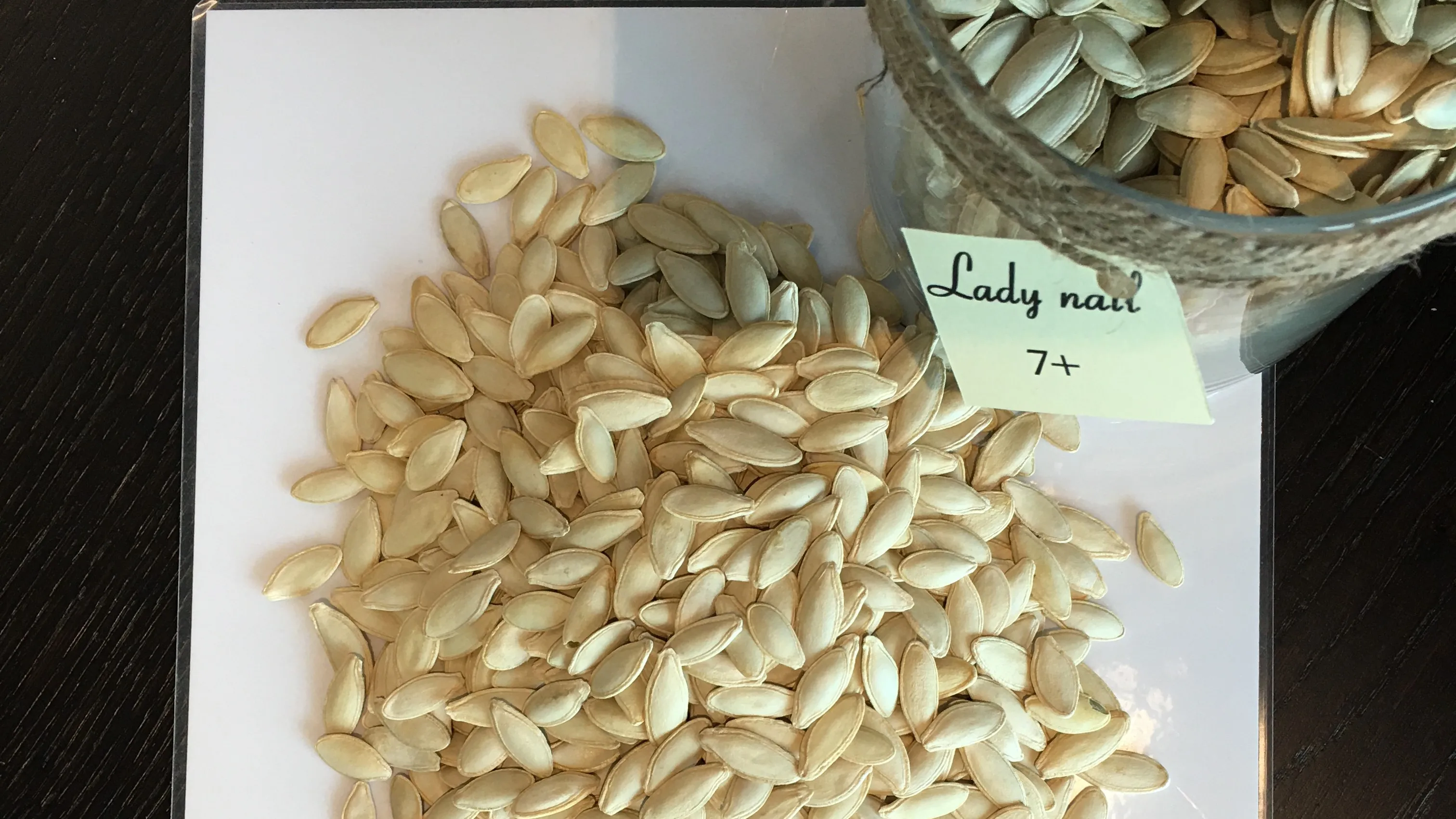 LADY NAIL 7+ Pumpkin seeds Inshell Food & Bavereges Nuts & Kernels Wholesale Packaging BREVIS Raw BRS IFS