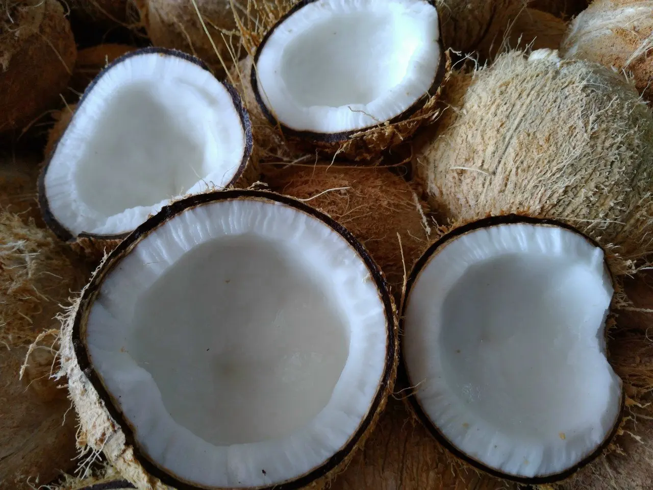 Vietnamese fresh coconut old coconut used for drinking or processing dishes carton or bag coconut