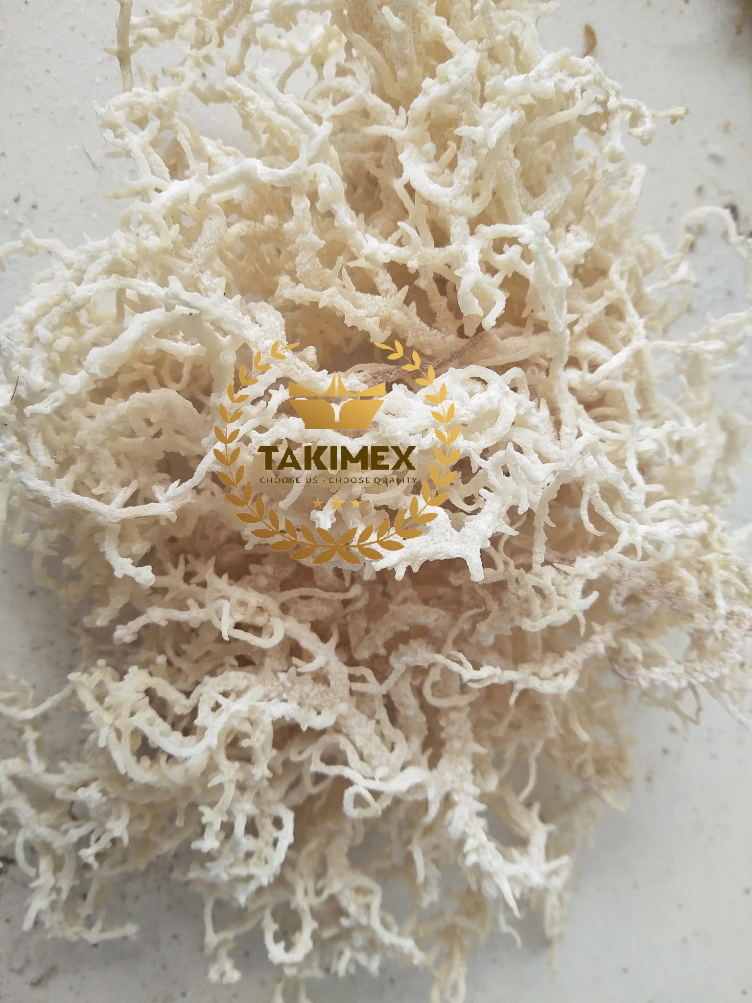 Сушеный EUCHEUMA COTTONII/ирландский Мох/SEAMOSS с наименьшей влажностью из Вьетнама