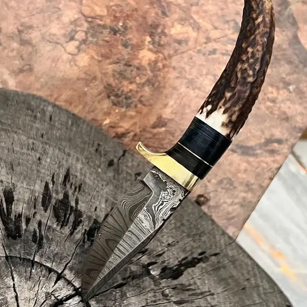 New Custom Handmade Damascus Steel Hunting Skinning Knife With Stag-Horn Handle for sale in bulk quantity