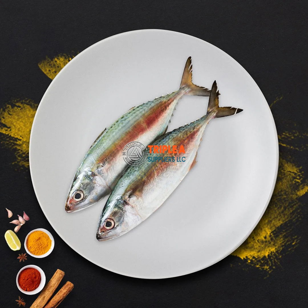 100% Премиум замороженная скумбрия оптом горячая Распродажа морепродуктов цельная Тихоокеанская рыба для консервных