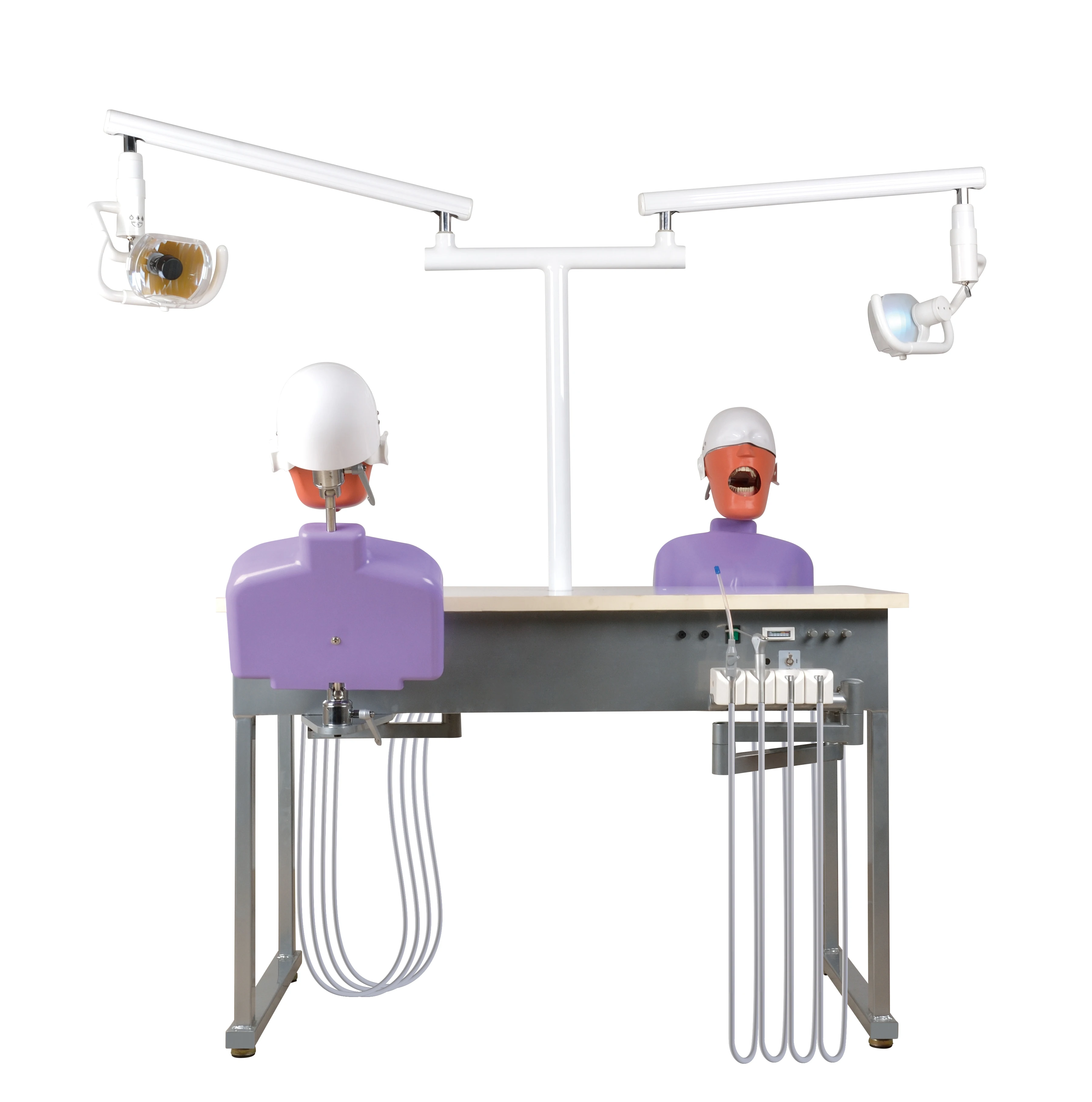 manikin dental phantom head dental simulator for training practice dental phantom head dental simulator