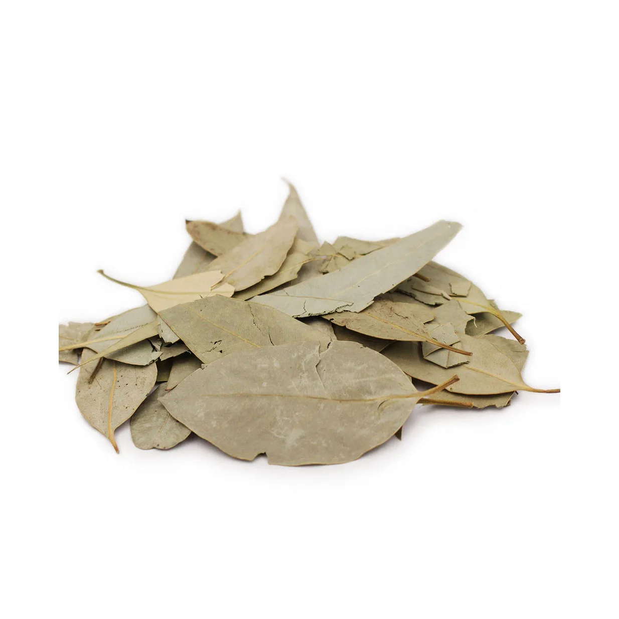 Factory Wholesale And Retail Spice Pelargonium Bay Leaf And Cheap Rate