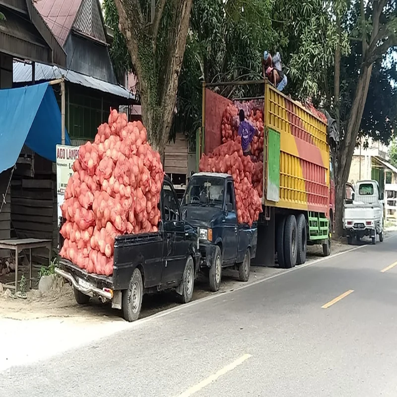 Best quality FRESH CHERRY PREMIUM QUALITY NEWEST CROP UNIQUE TASTE DELICIOUS CHERRY 1 KG BOXES AIRCARGO