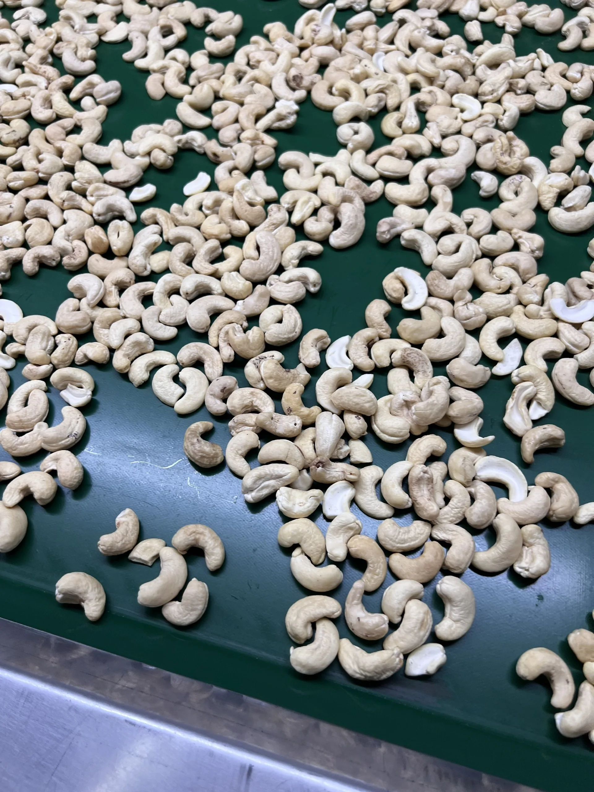 Wholesale High Quality Raw White Cashew Nuts With Best Price All Size W180 W240 W320 Made In Vietnam