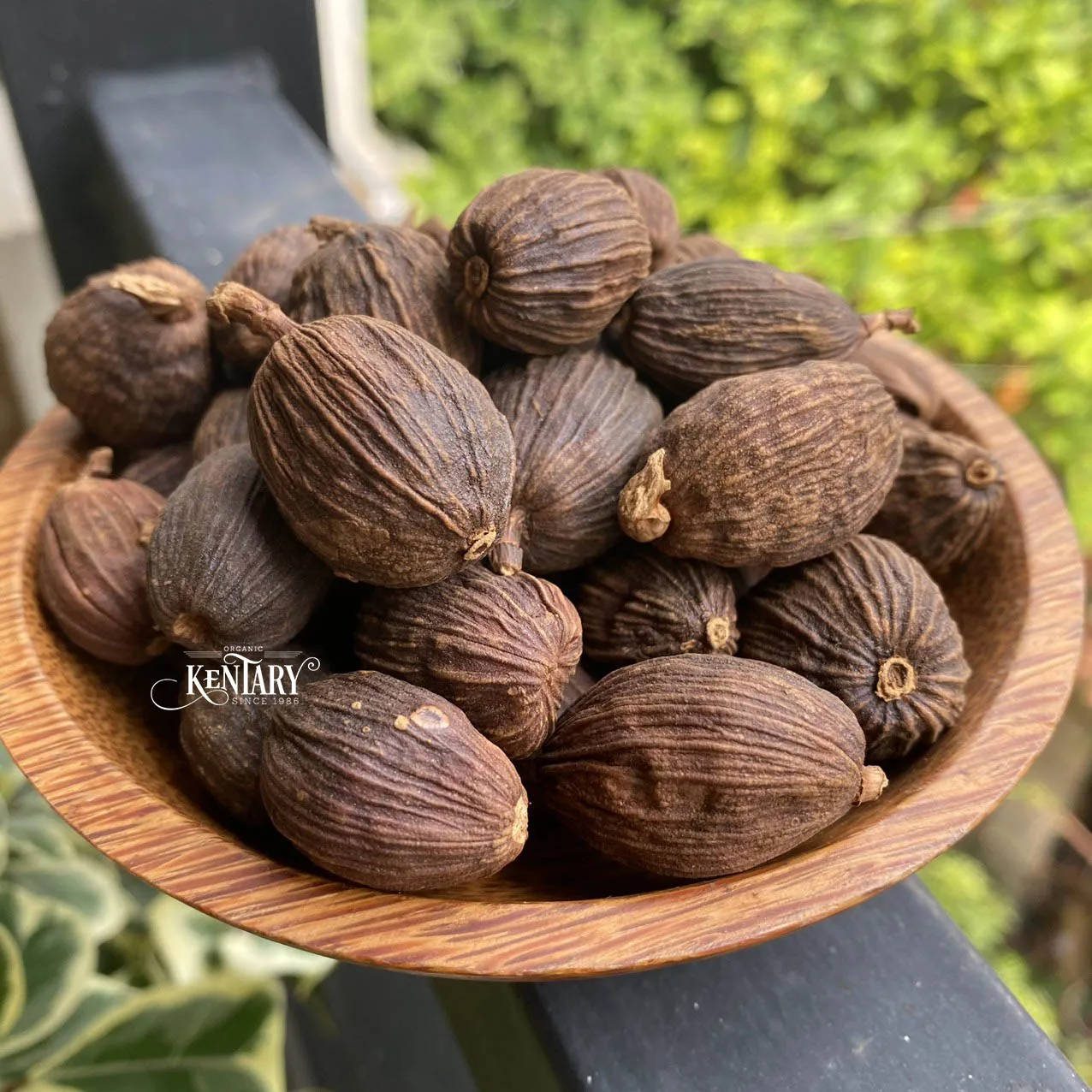 Wholesale Strong Flavor Black Cardamon Seeds Size 9mm Hight Quality Spices Best Price Factory in Vietnam 100% Pure non GMO