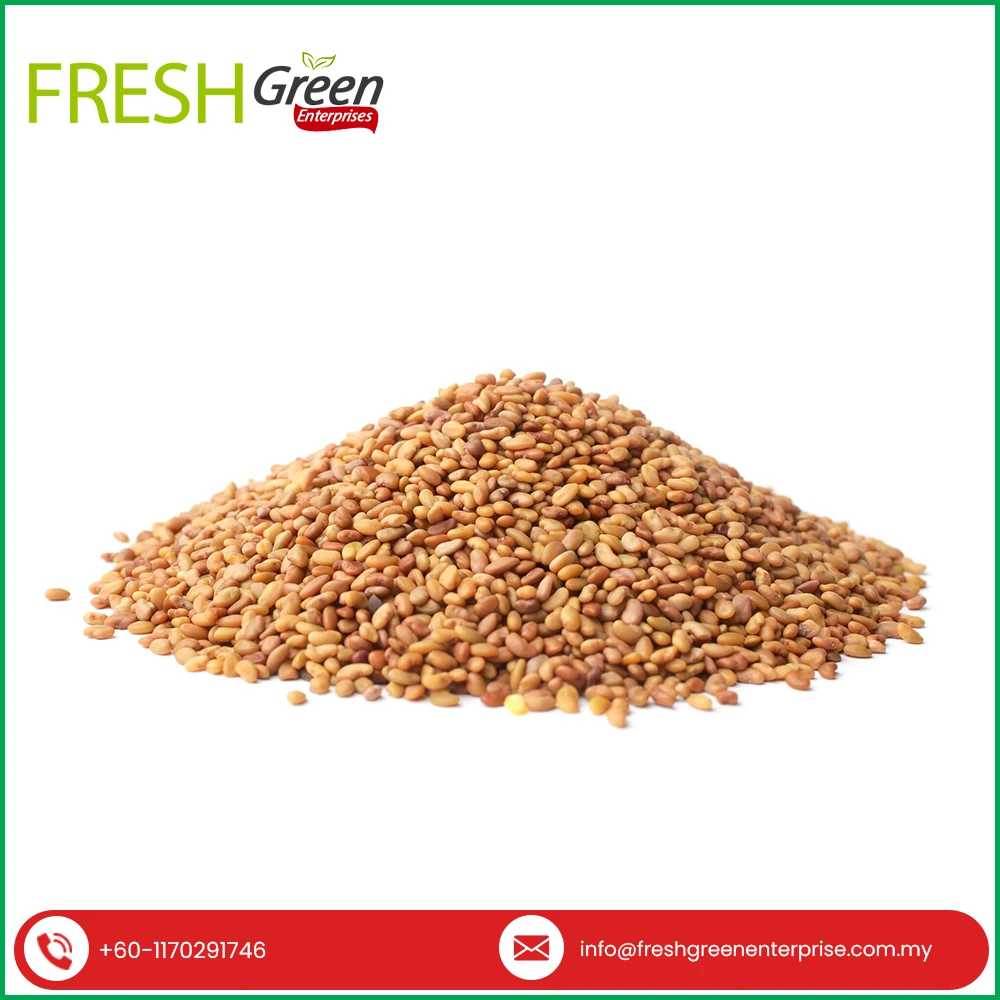 New Arrival Latest Crop Rich Ingredients Organic Lucerne Seeds / Alfalfa Seeds from Trusted Supplier