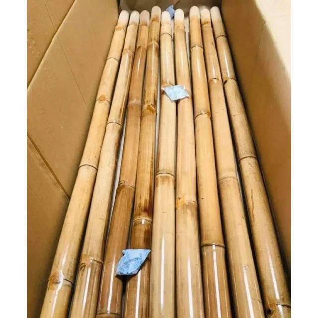 Vietnam  Best selling - Bamboo Pole Big and Strong Bamboo Poles Free tax - Raw material for Gardening and Decoration