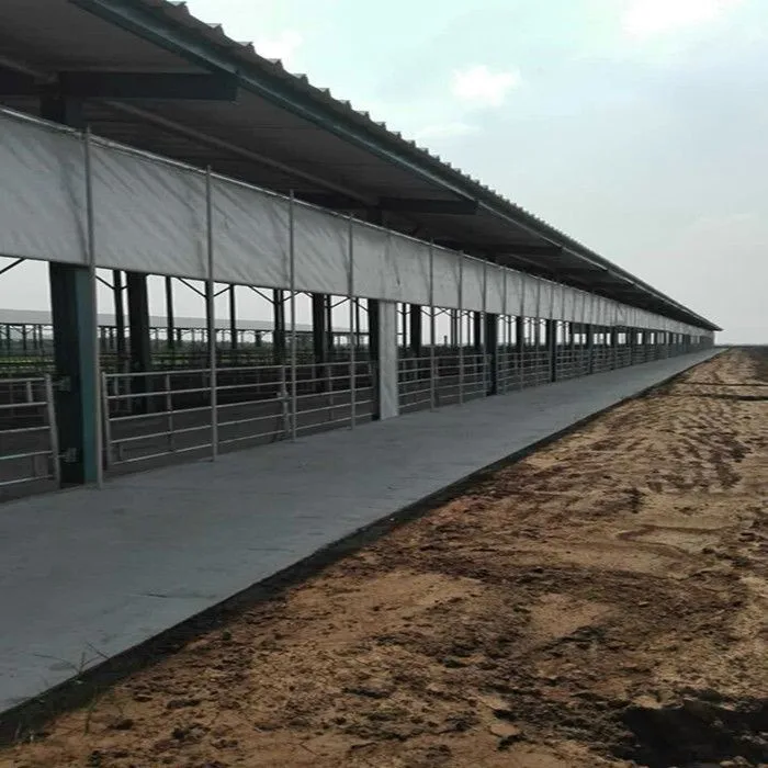 steel cow barn cowshed cattle slaughter house steel arch livestock house