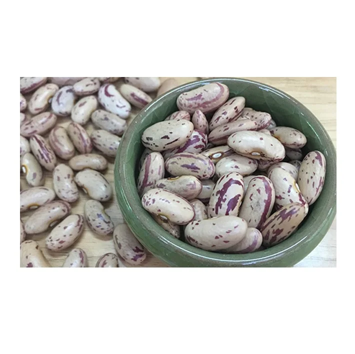 Оптовая цена, легкая зернистая фасоль, производство фабрики, сухая пинтовая фасоль