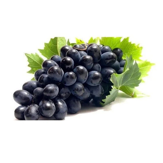Grapes Sweet & Seedless Natural Green Grapes with Rich Vitamins Produced in France