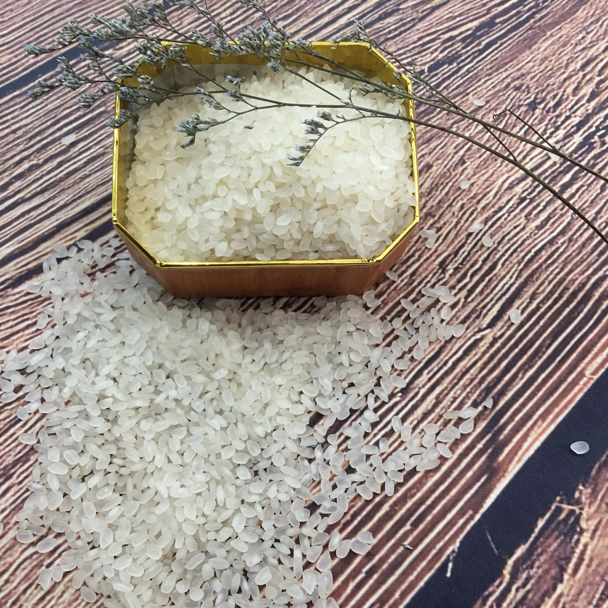 Vietnamese Rice Well mill and double polish F&B 5% Broken White Common Soft Texture AD Dried Style Calrose Round Grain Rice