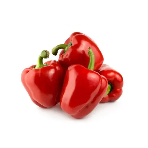 100% FRESH CAPSICUM FOR SALE AT WHOLESALE PRICES.