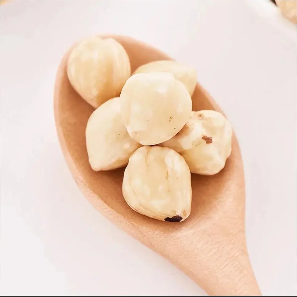 High Quality Hazelnuts From China Best Hazelnut Wholesale Price