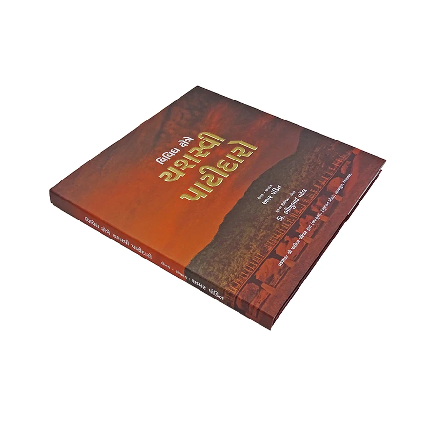 book with false jacket -7.jpg