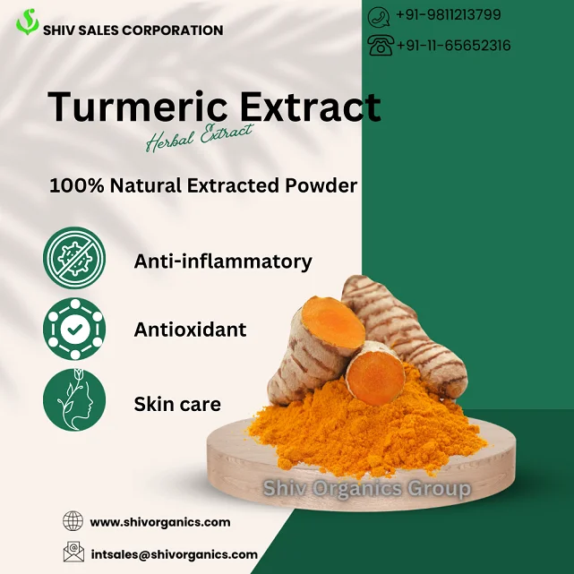 Turmeric Extract (M).png