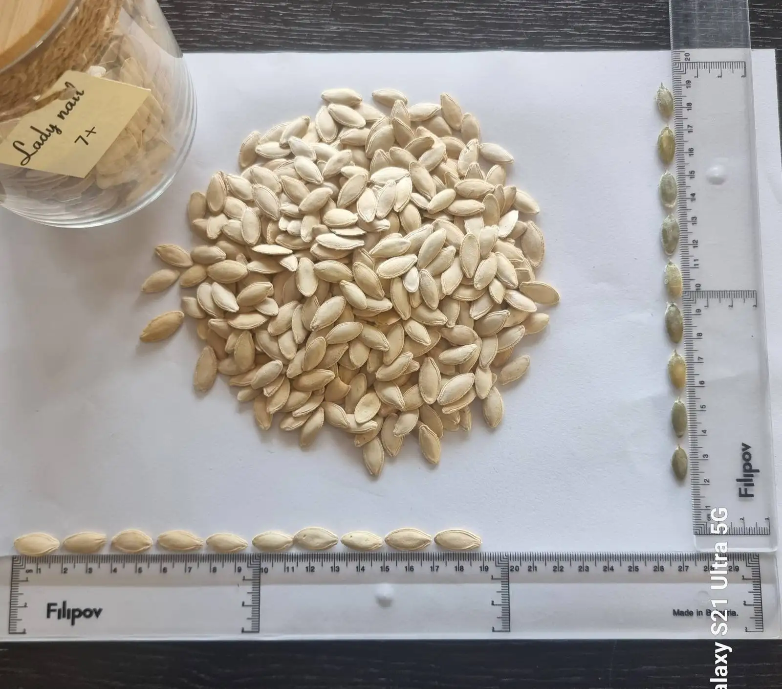 LADY NAIL 7+ Pumpkin seeds Inshell Food & Bavereges Nuts & Kernels Wholesale Packaging BREVIS Raw BRS IFS