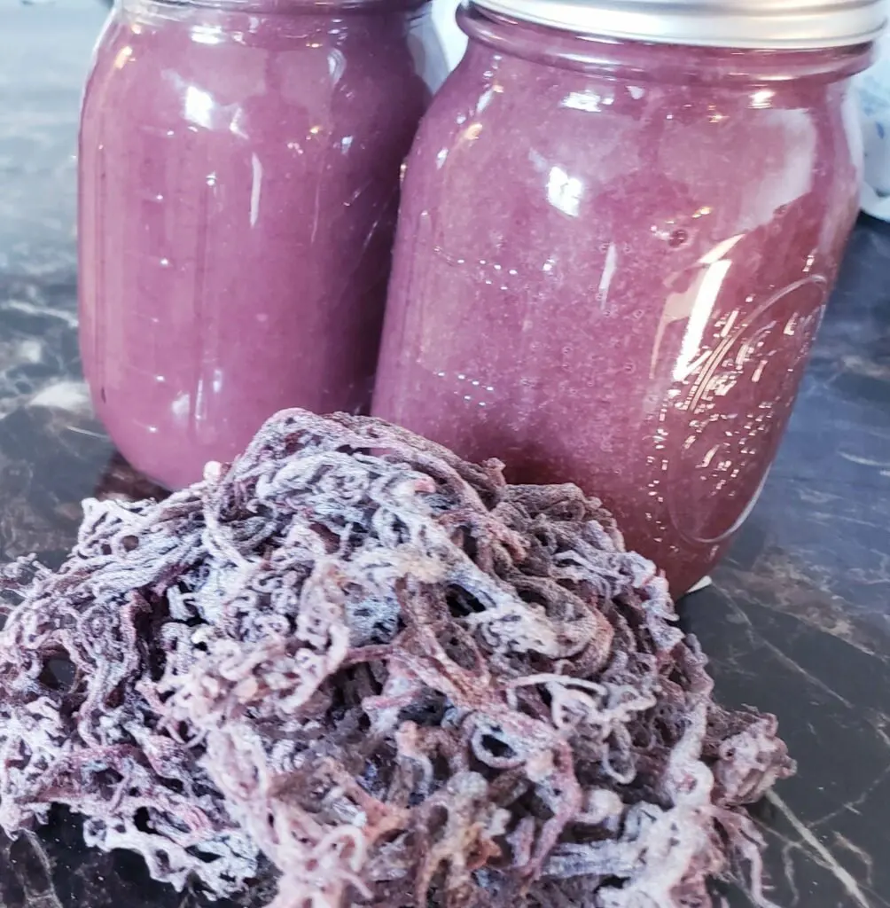 Лидер продаж 2023 товары премиум-класса SEAMOSS // фиолетовый из Вьетнама продукт хорошего качества