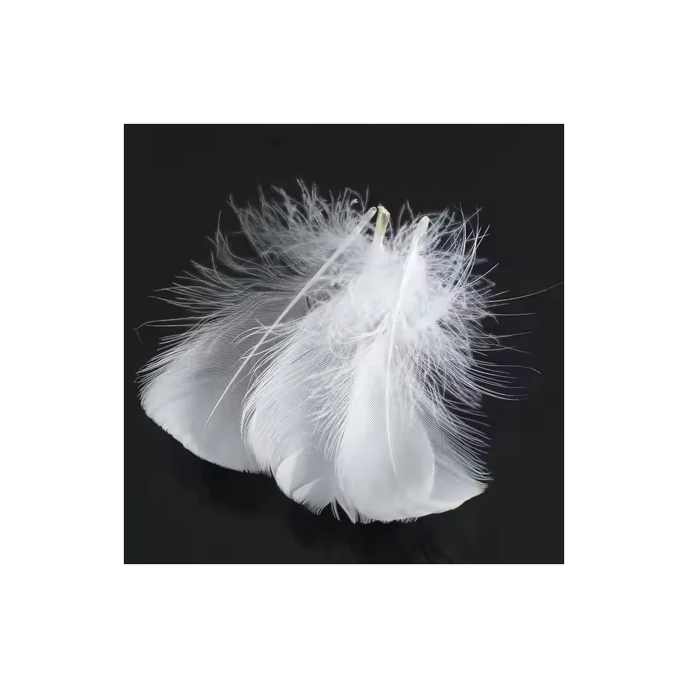 100% High Quality Washed Duck Feathers Ideal for Pillows Duvets and Upholstery Soft Clean and Hypoallergenic