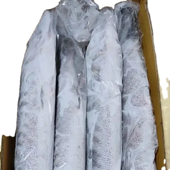 FROZEN BARRACUDA FISH WHOLE ROUND GOOD SELLING ITEM 24 MONTHS SHELF LIFE AND PERFFCET PACKING INDIAN   ORIGIN