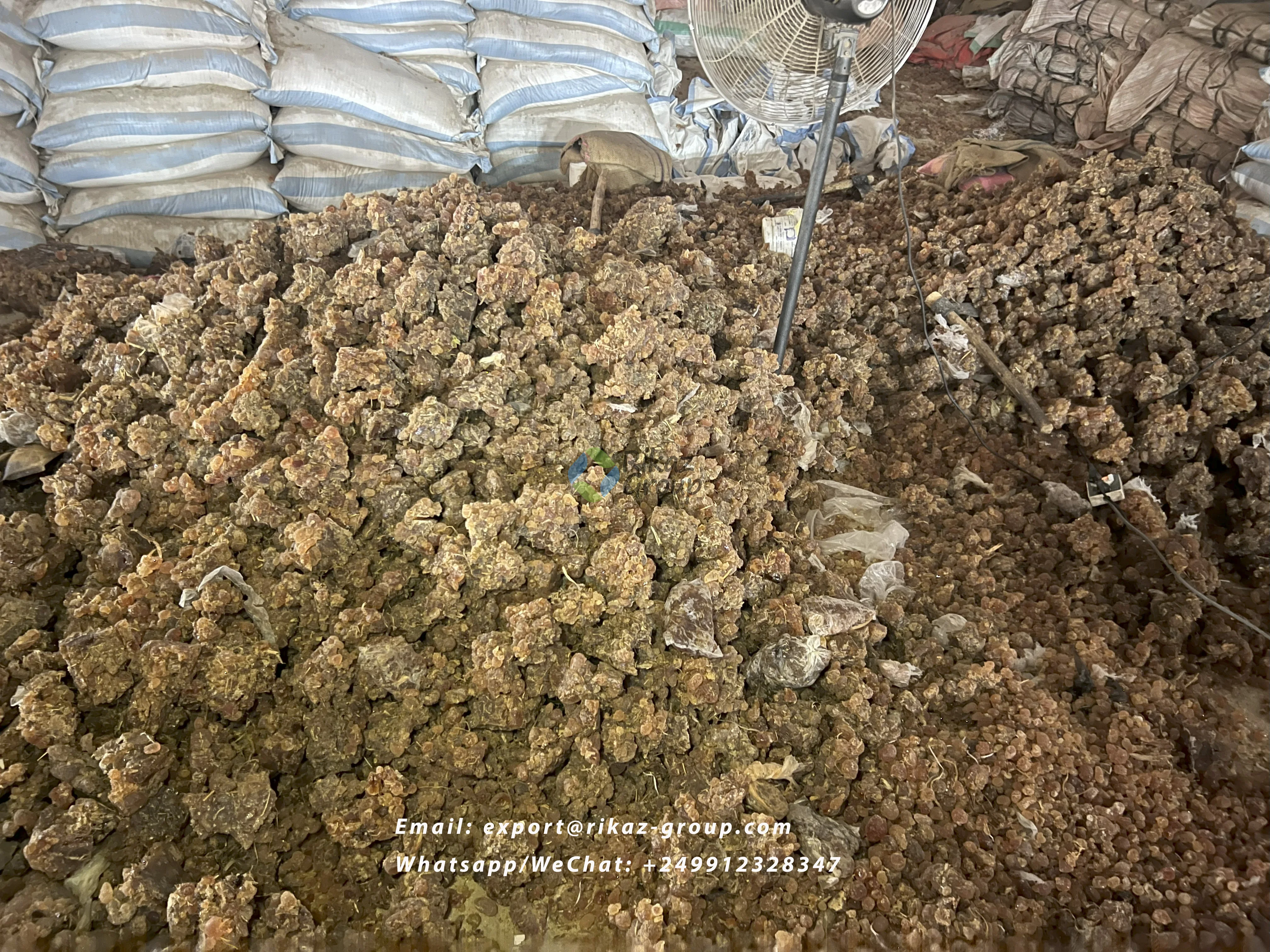 Best Quality and Clean Acacia Arabic Gum Dried Seeds Farm to Agriculture Product From Sudan Senegal -Rikaz