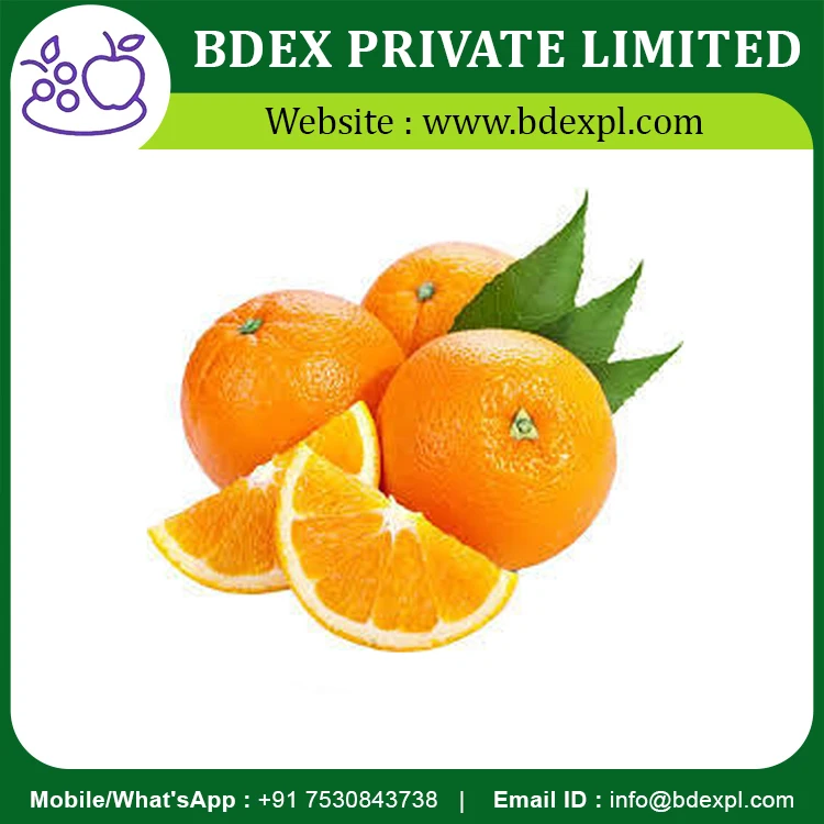 Wholesale Price Fresh Sweet Orange From Indian Exporter
