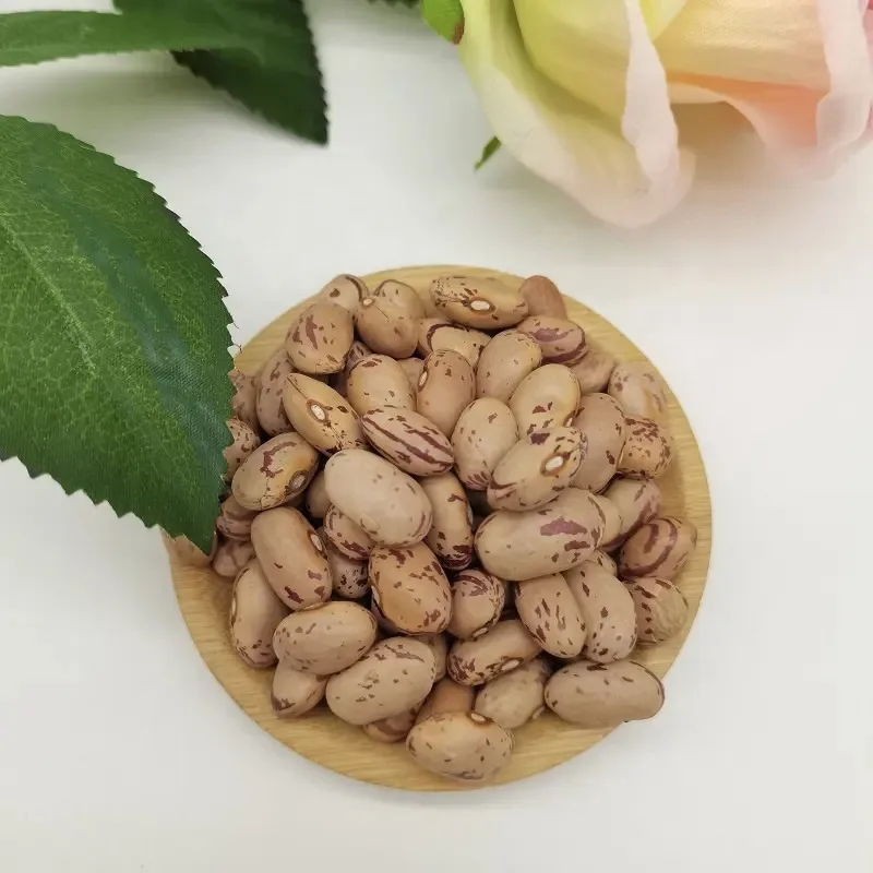 sugar beans 2.jpeg