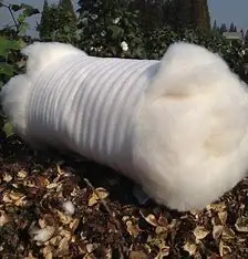 Raw Cotton Fiber.09.jpg