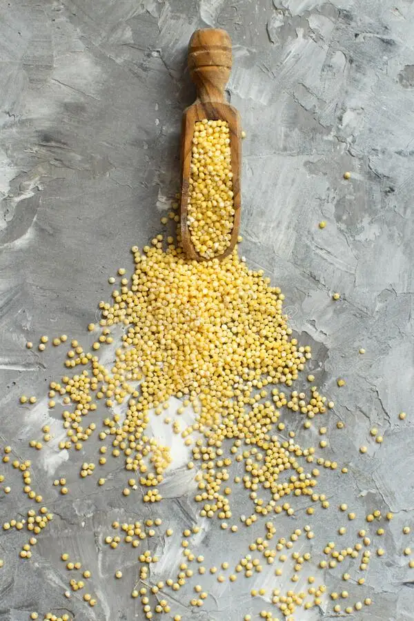 Millet supplier hulled yellow pearl millet grain