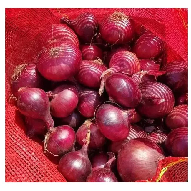 Свежий очищенный красный лук по низкой цене