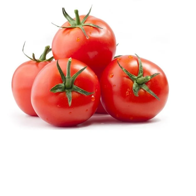 premium Wholesale for tomato paste / ketchup tomato - Organic tomato can / tomato powder at cheap price