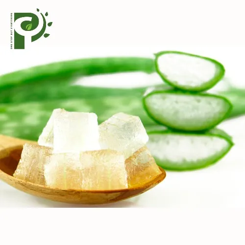 High Quality Aloe Vera 100% natural from vietnam for food and beauty