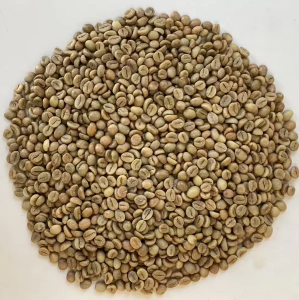 Organic Coffee High Quality Organic Coffee Whole Grain and Enriched Taste Best Flavored Raw Coffee Beans