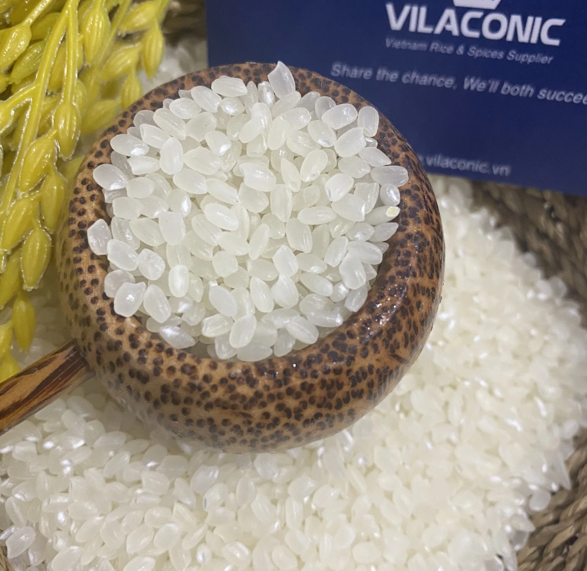 JAPONICA/SUSHI/CALROSE RICE/ROUND RICE 5% BROKEN Best Quality Fresh Specialty White Soft Short Grain Rice In Vietnam ANNA DO +84