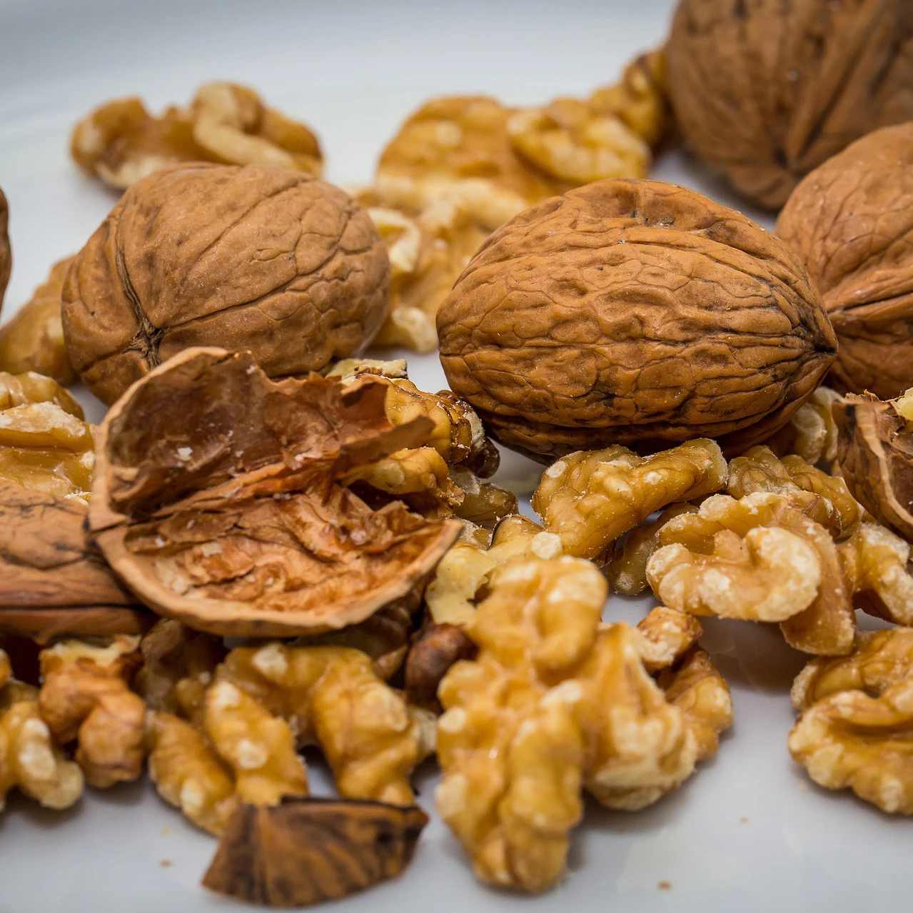 Premium Grade Organic Walnuts Raw and Dried Factory Wholesale without Shell Competitive Prices for Bulk Sale