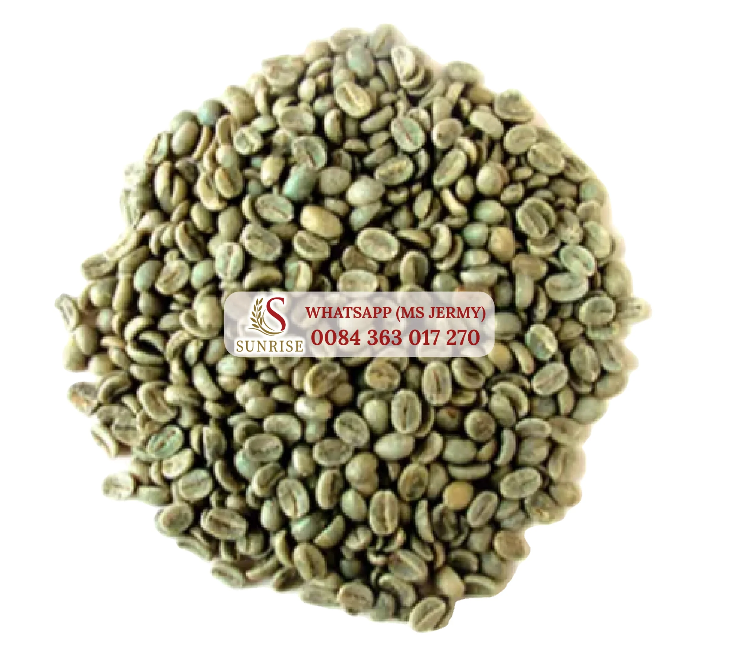 Arabica Coffee Beans 18 Washed Green Coffee Beans High Quality in Bags Jermy 0084 363 017 270
