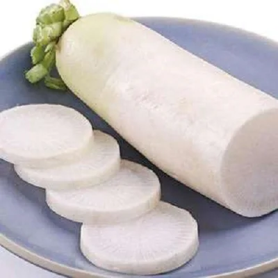Factory direct sale Chinese white radish good quality export new season  fresh radish