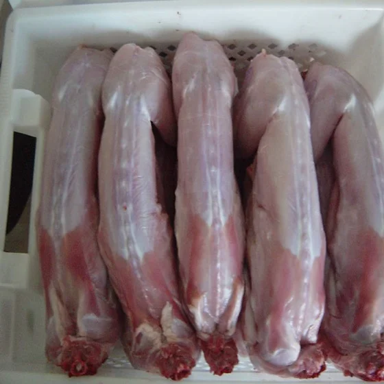 frozen Rabbit meat