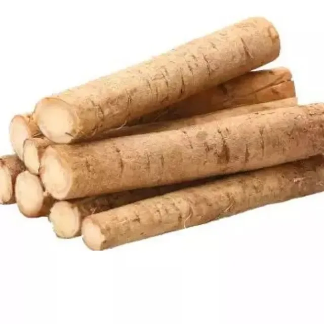 Bulk sale IQF frozen fresh burdock for sale