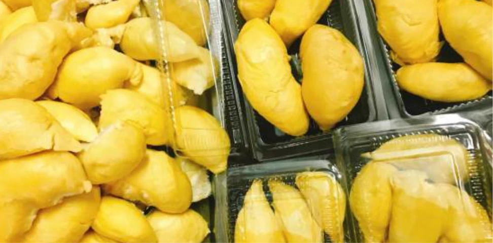 Лидер продаж, оганические Замороженные дурианские праздники по лучшей цене