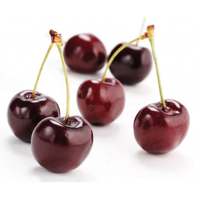 Cherries7.jpg