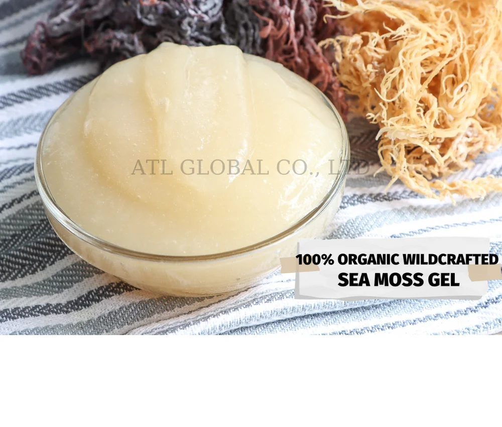 Sea moss gel wildcrafted raw superfood Irish moss/seamoss eucheuma cottonii  seamoss raw organic dried sea moss dried seaweed