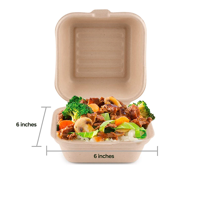 Blister Packing Freezer Safe Food Takeout Food Containers With Logo