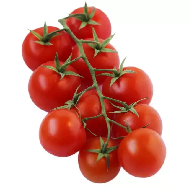 Fresh Tomato Cheap price and quick response with high quality and carefully packaged
