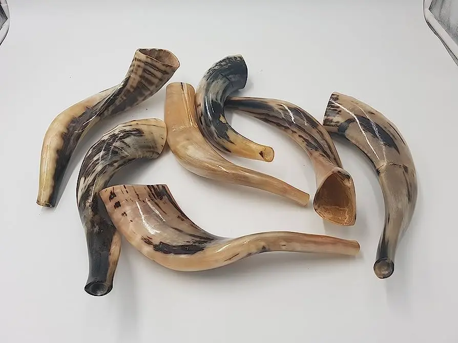 Ram Horn Shofer Jewish Shofar Trumpet Large Rams Horn Shofar with Light Shades Natural Finish With High Quality from India