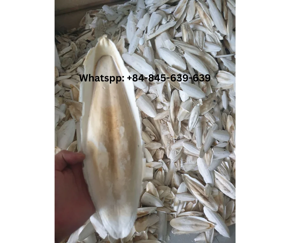 Natural Cuttlefish Bone Essential Calcium for Birds and Reptiles/ Premium-grade cuttlefish bone for calcium supplementation.