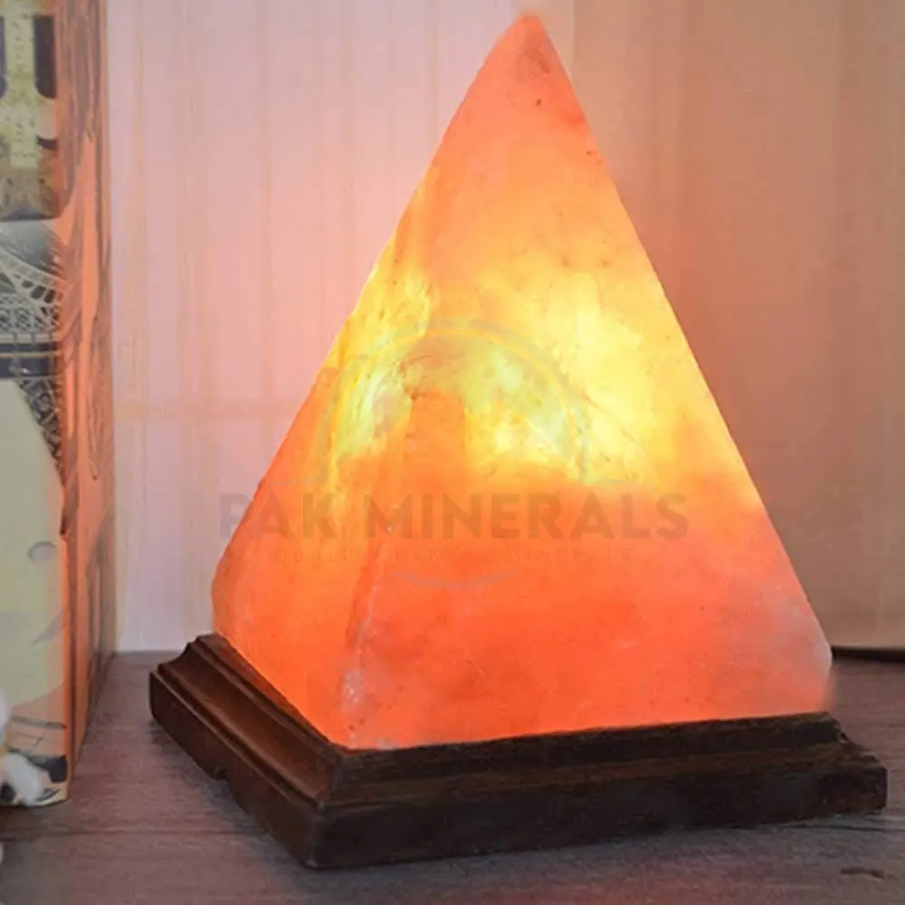 High Quality Himalayan Natural Salt Dark Color Lamps For Online Sale